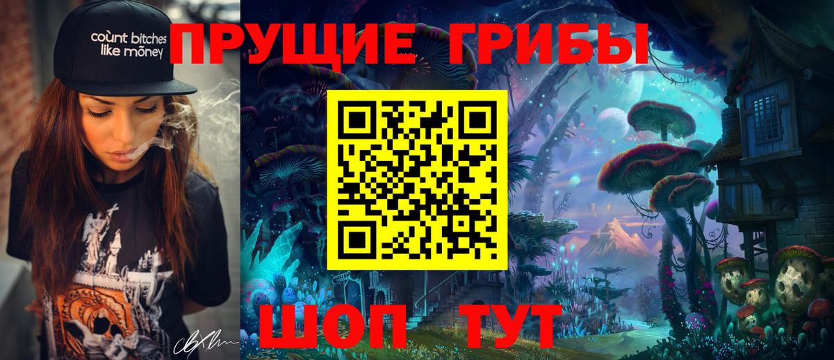 Верхняя Пышма  цена наркотик  Вход с VPN  Псилоцибиновые грибы мухоморы 